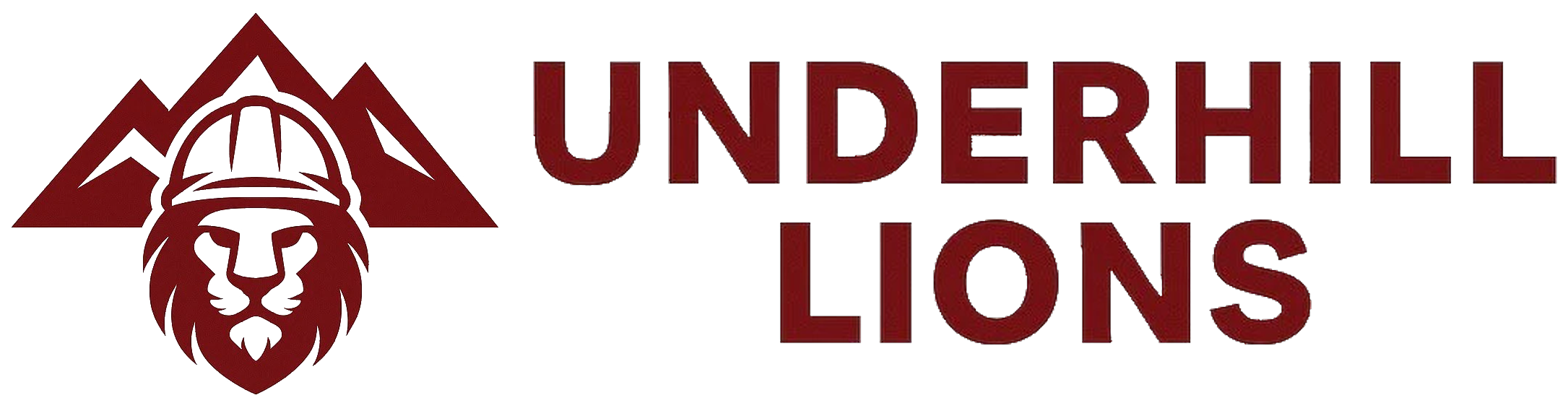 Underhill Lions LLC logo