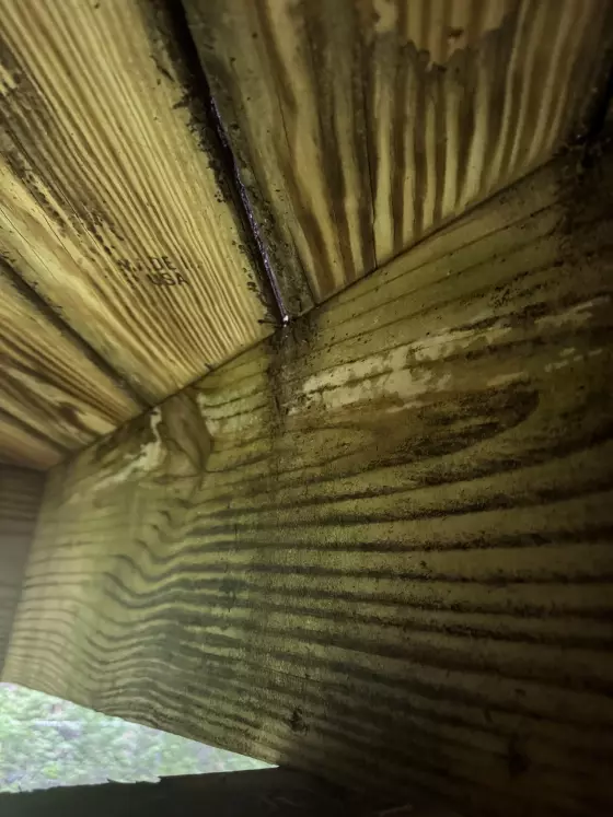 Mold and rot on the underside of the original deck boards
