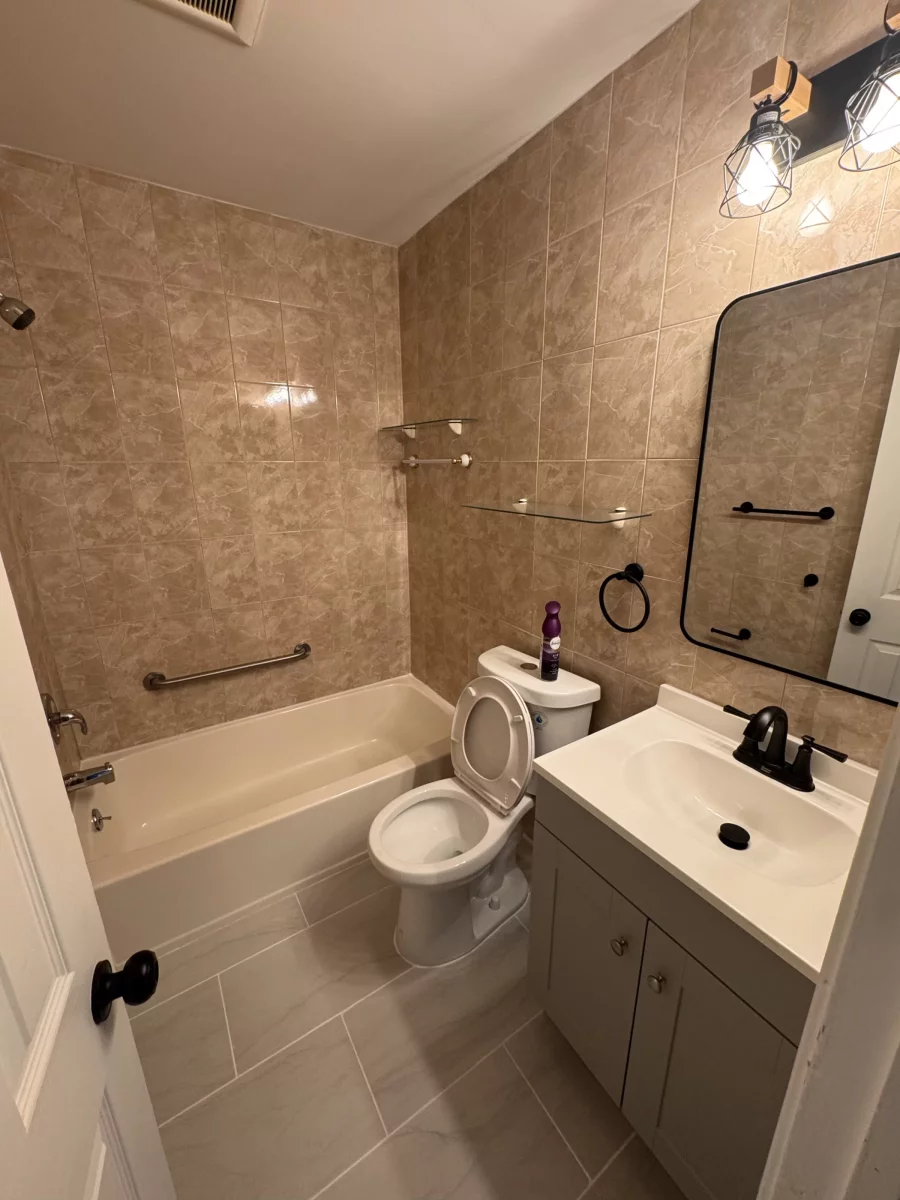 Vanity, toilet, grab bar and glass shelves in a bathroom