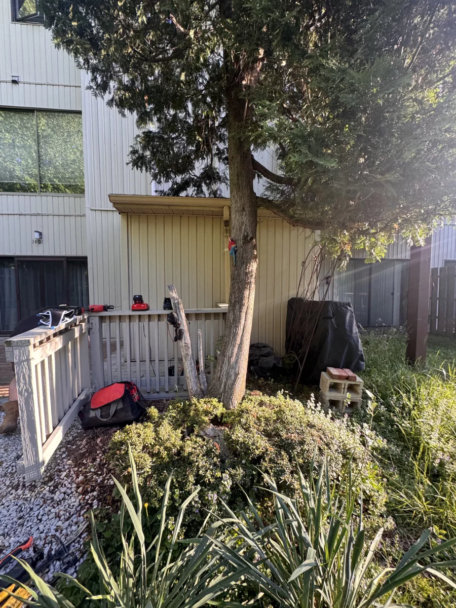 Original deck and railing beside a tree before demolition