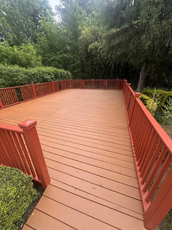 Rebuilt deck steps and walkway with new stained boards