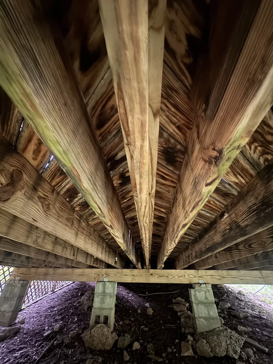 Underside of the old deck showing weathered joists